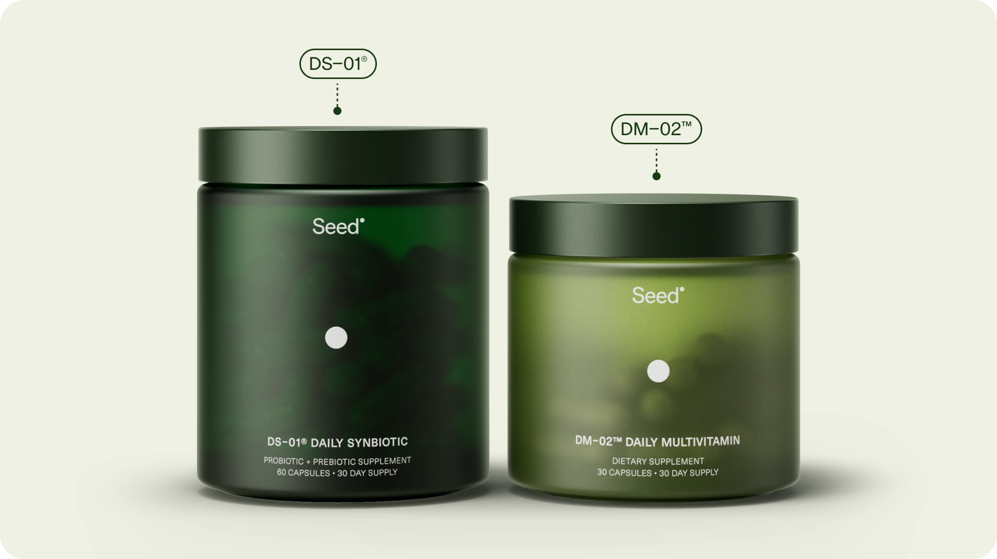 seedcare.it.com